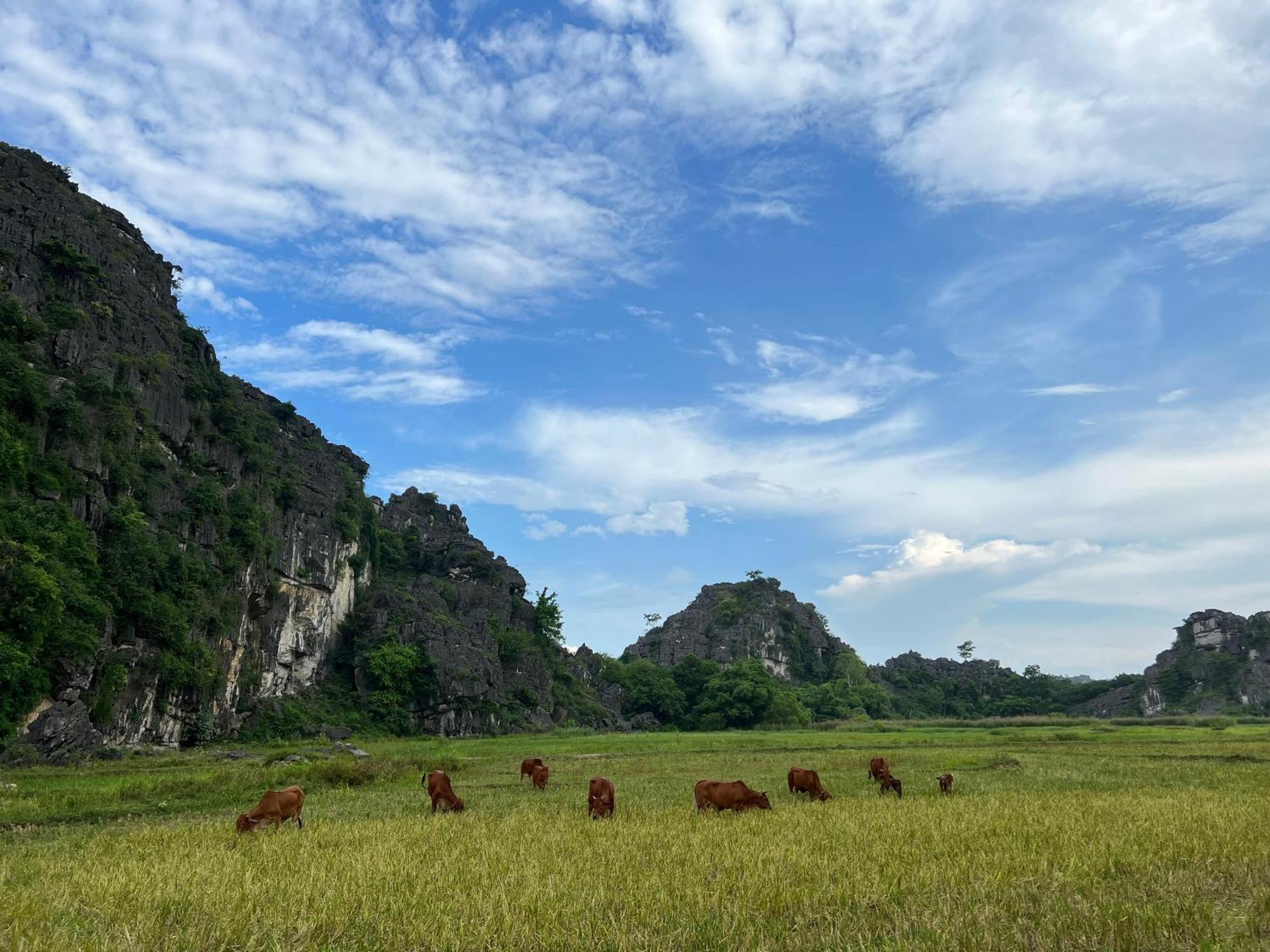 Ninh Binh Family Homestay Екстер'єр фото