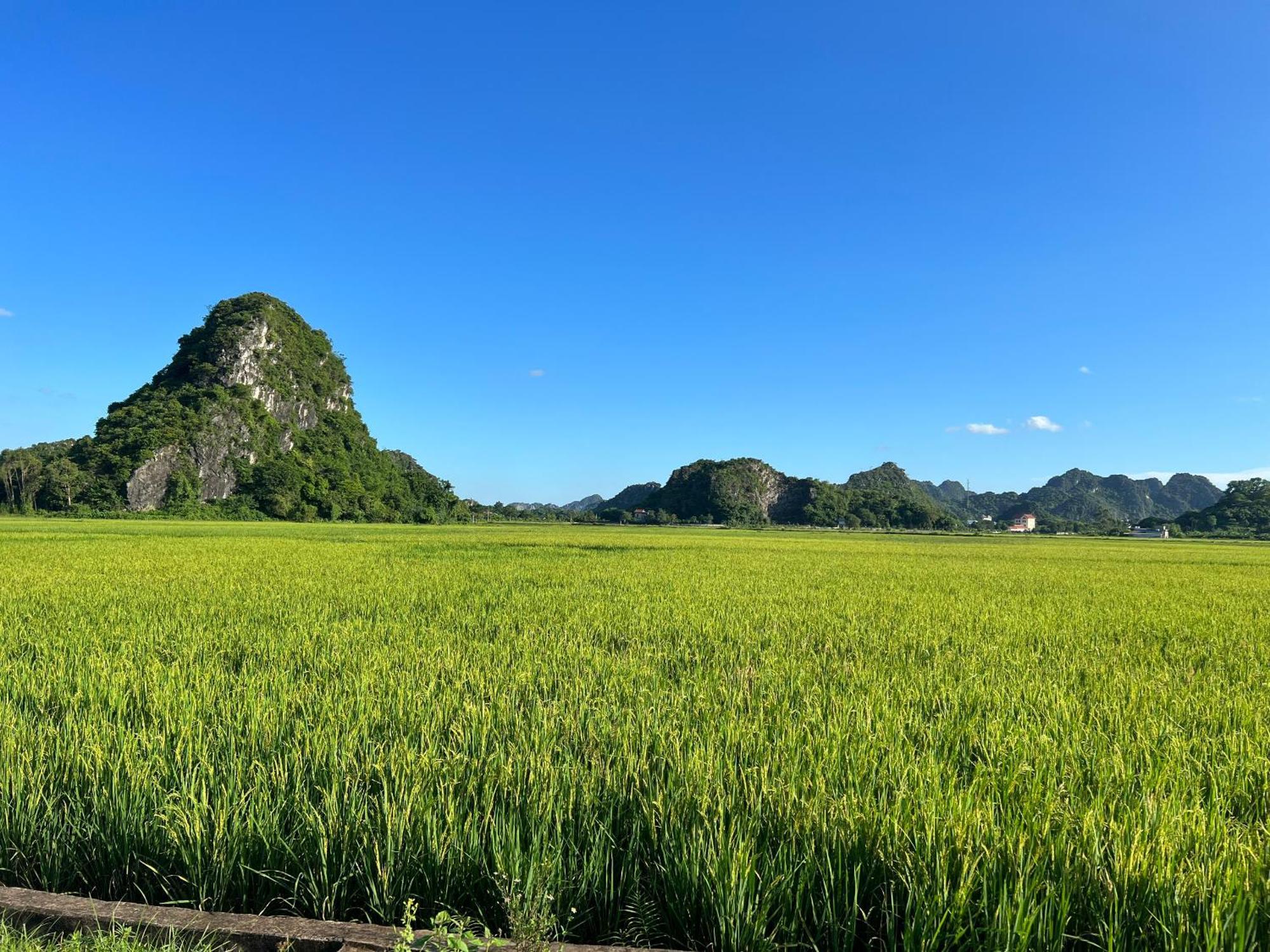 Ninh Binh Family Homestay Екстер'єр фото